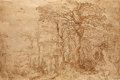 Sylvan Landscape with Five Bears Pieter Bruegel